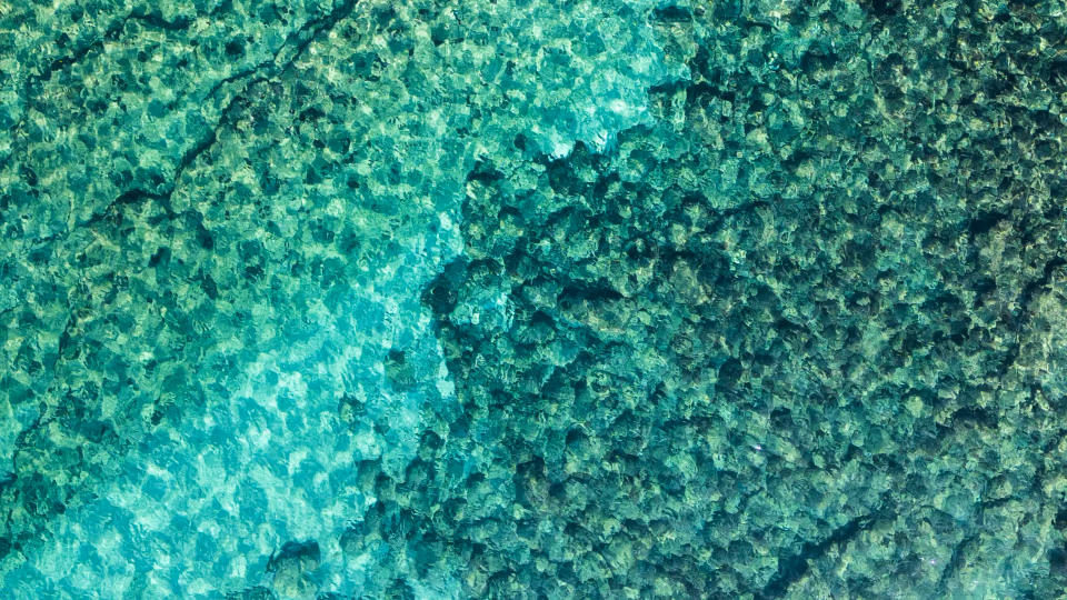Vue sous-marine de rochers et de sable avec des reflets de lumière dans une eau turquoise