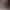 Un chef en veste blanche ajuste une présentation culinaire sur une assiette blanche